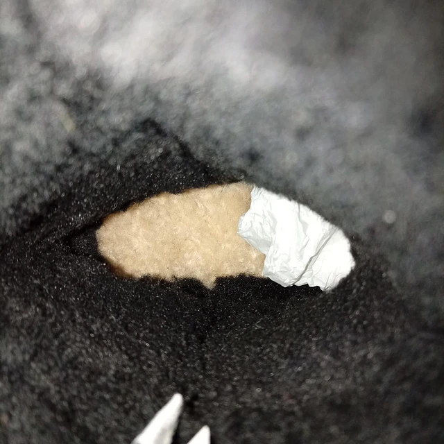 Bearpaw , reno , 40 7