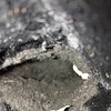 Koolaburra , reno , 38 7