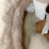 UGG Classic Mini , 35 7