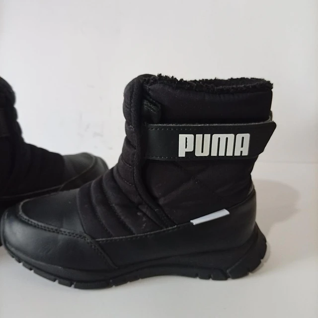 Puma , 31 3