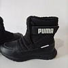 Puma , 31 3