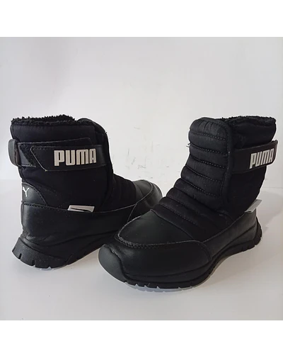 Puma , 31