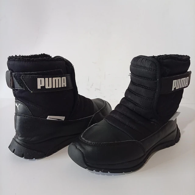 Puma , 31 1
