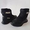 Puma , 31 1