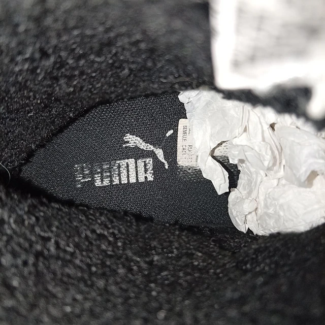 Puma , 31 7