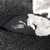 Puma , 31 7