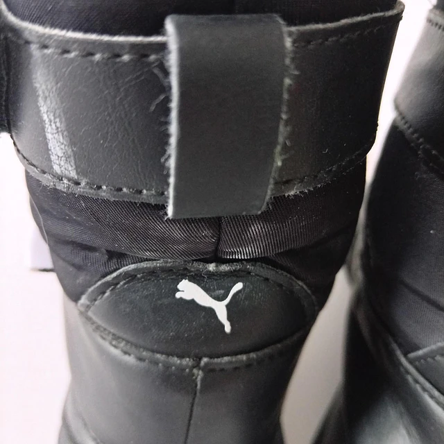 Puma , 31 8