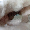 UGG Ansley , 38 5