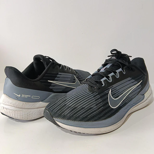 Nike Winflo 09 , 29 cm 1