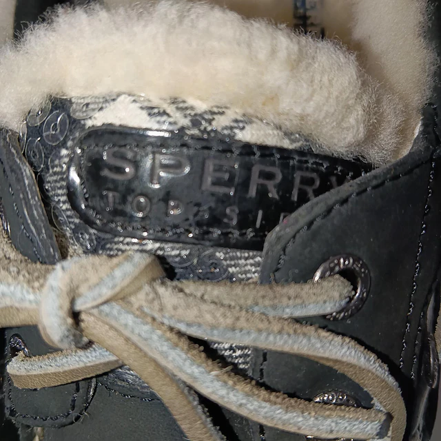 Sperry , 37 4