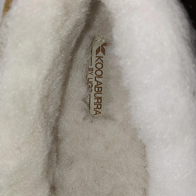 Koolaburra , reno 38 5