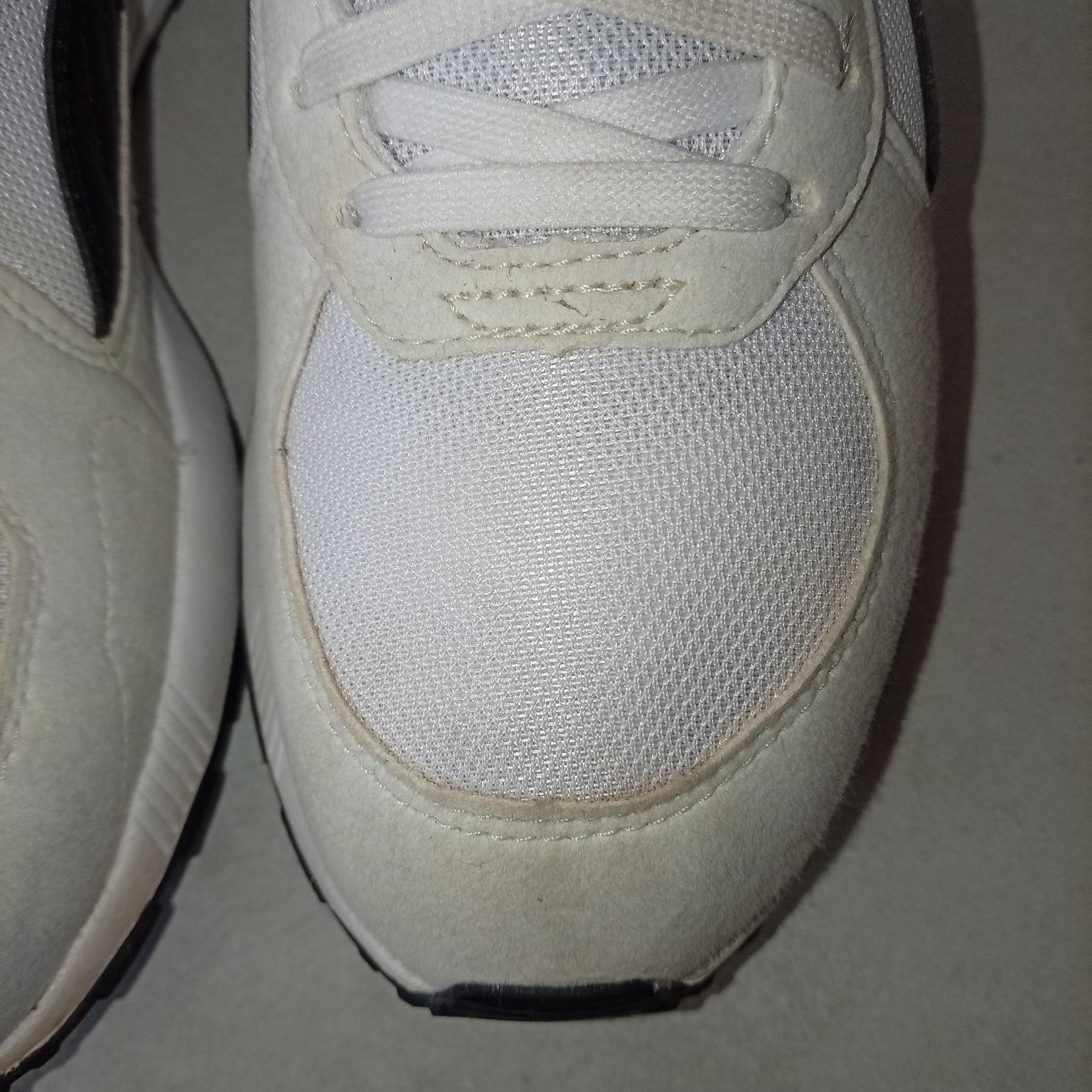 Puma , 37