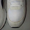 Puma , 37