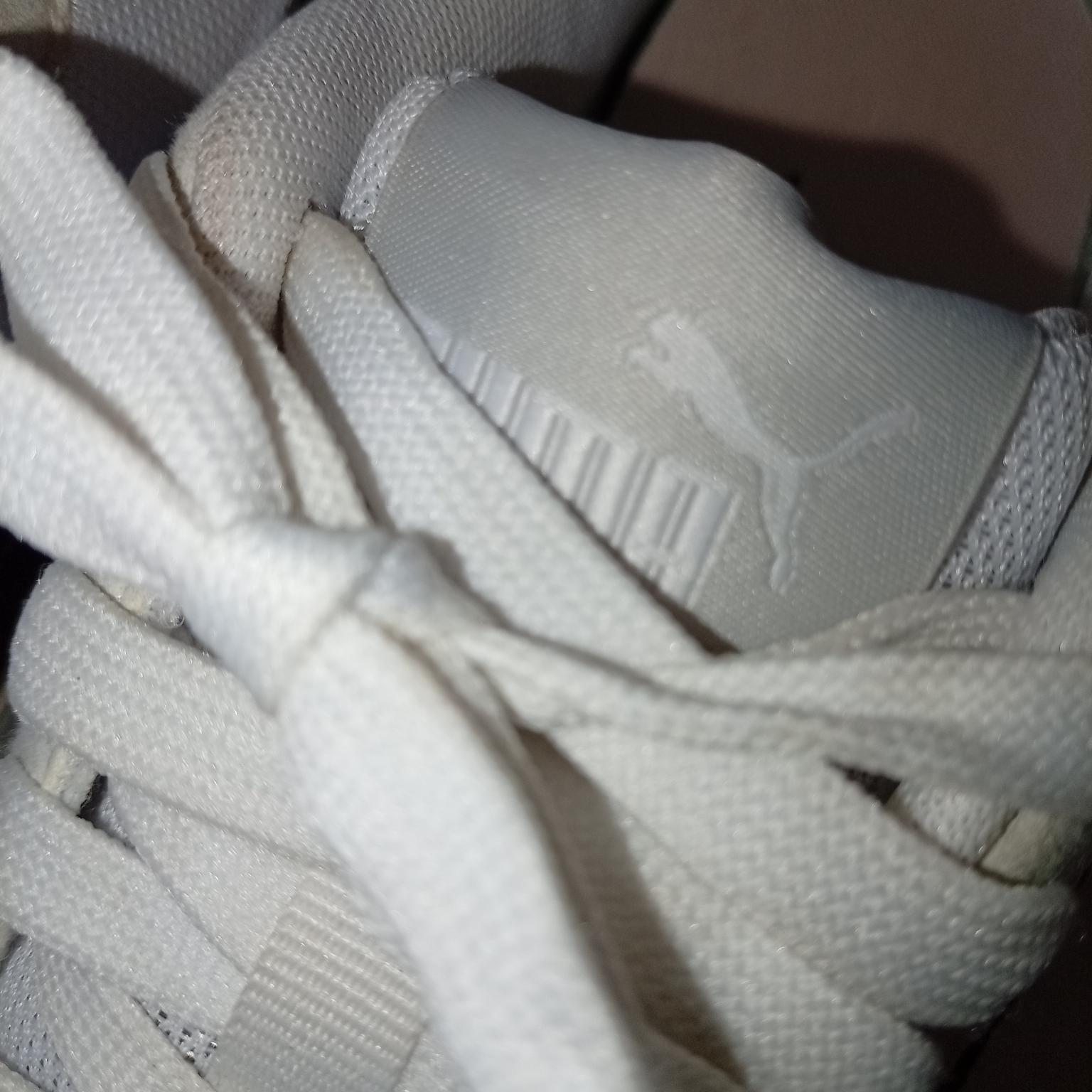 Puma , 37