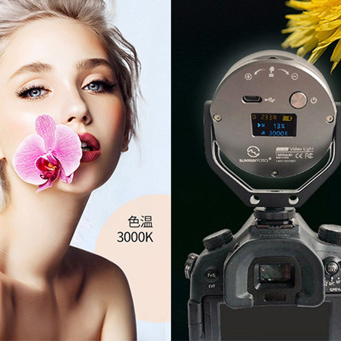 Sunwayoto Fl-54d Luz Relleno Led Fotografia Y Video 4