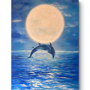 FRECUENCIAS CETACEAS