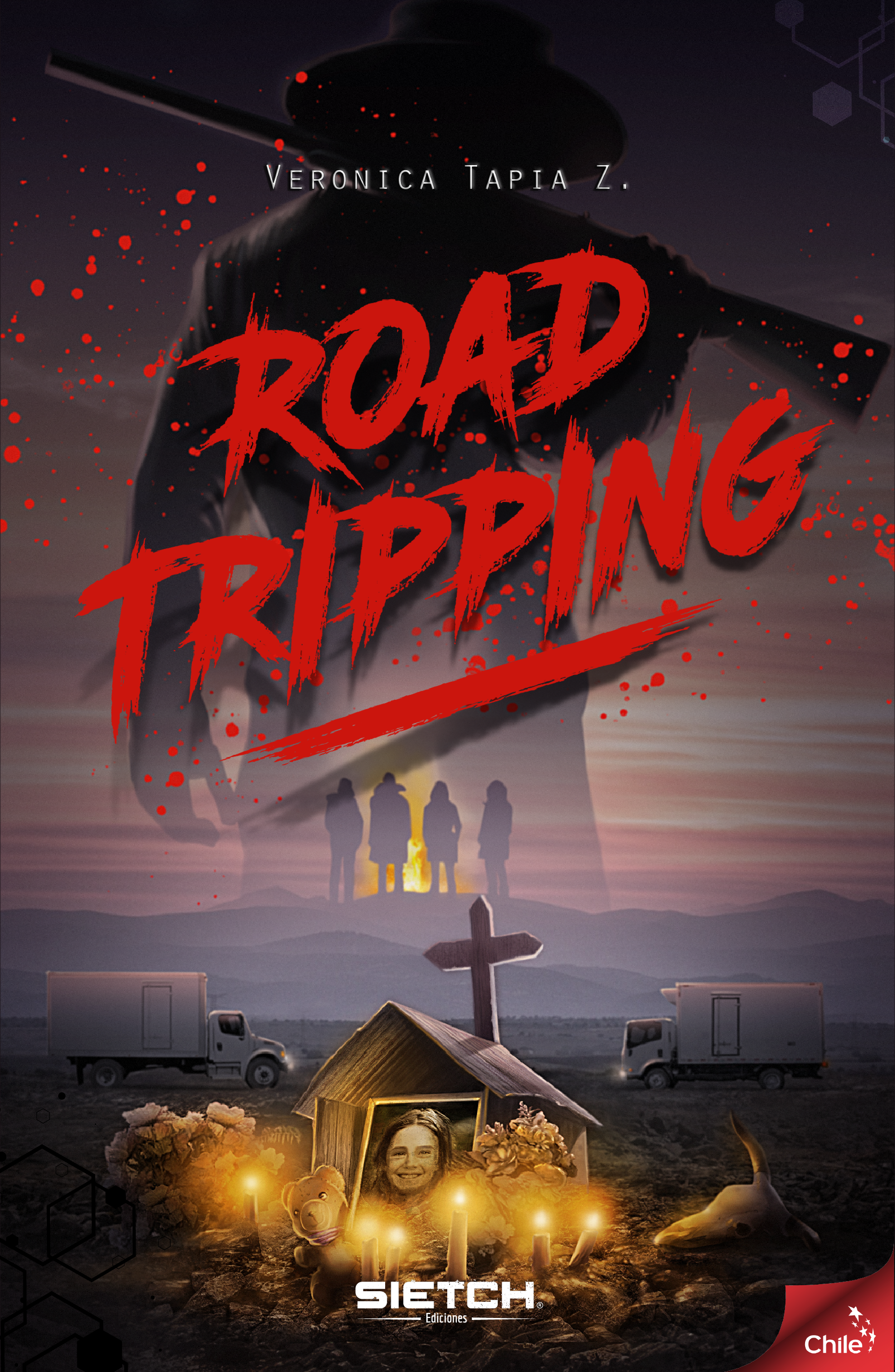 Roadtripping - Verónica Tapia Z.