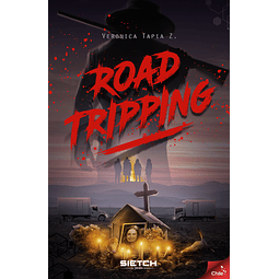 Roadtripping - Verónica Tapia Z.