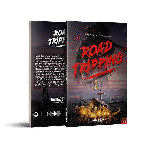 Roadtripping - Verónica Tapia Z.