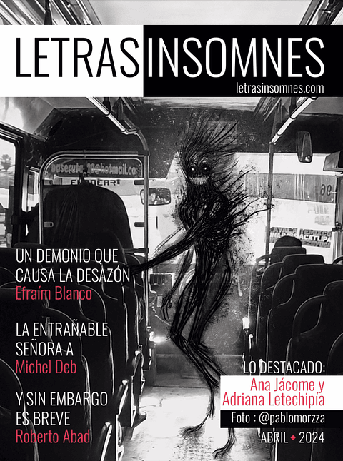 Letras insomnes #1  - Revista literatura mexicana 