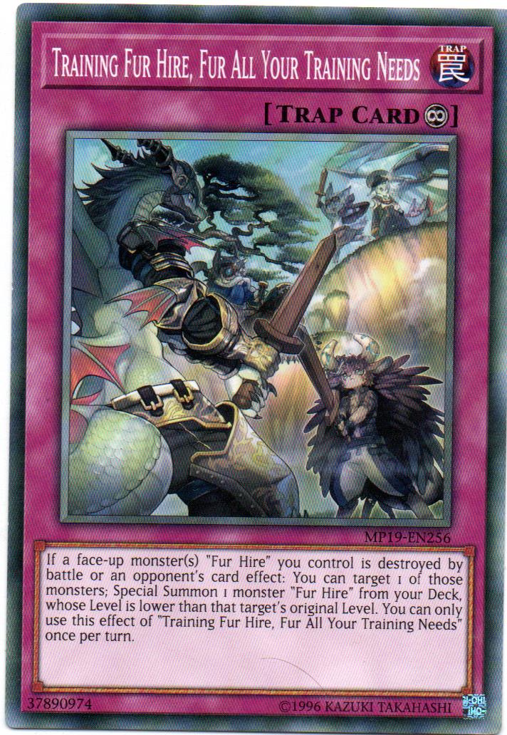 Training Fur Hire, Fur All Your Training Needs Carta Yugi MP19-EN256