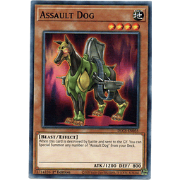 Assault Dog Carta yugi DLCS-EN035
