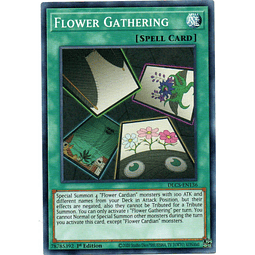 Flower Gathering Carta yugi DLCS-EN136