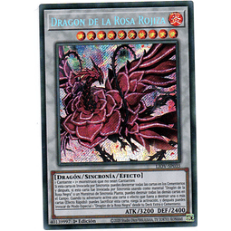 Ruddy Rose Dragon Carta Yugi LIOV-SP035