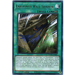 Labyrinth Wall Shadow carta yugi MAZE-EN007 Rare