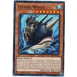 Citadel Whale carta yugi LED9-EN029 Comun