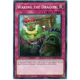 Waking The Dragoncarta yugi SDAZ-EN040 Common