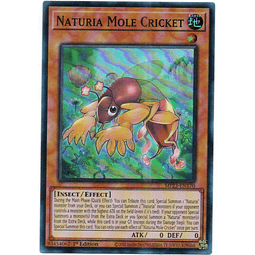 Naturia Mole Cricket Carta yugi MP23-EN170 Super Rare