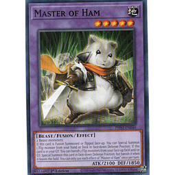 Master of Ham carta yugi PHNI-EN040 Common