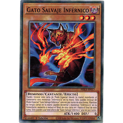 Gato Salvaje Infernico Carta Yugi PHRA-SP017