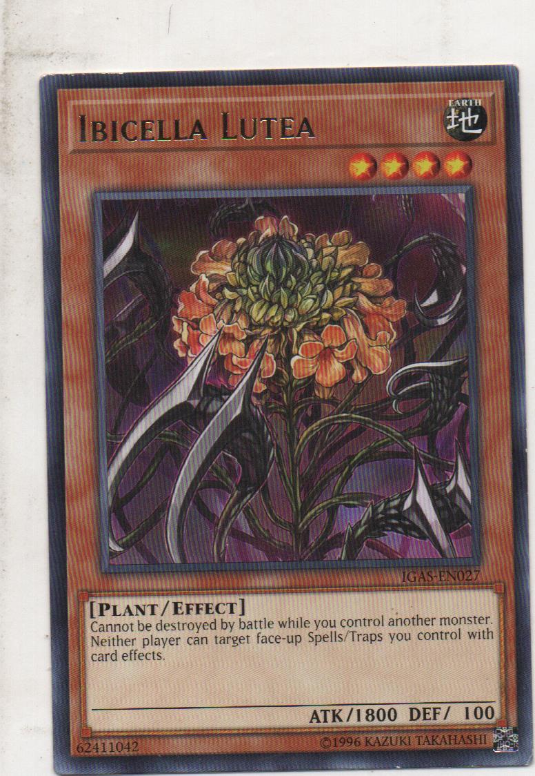 Ibicella Lutea carta yugi IGAS-EN027 Rare