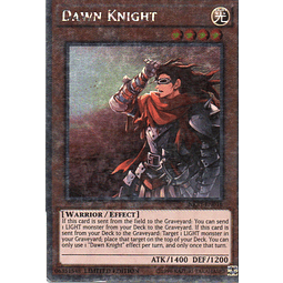 Dawn Knight carta yugi NKRT-EN016 Platinum rare
