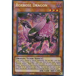 Roxrose Dragon carta yugi MP22-EN060 Secret rare
