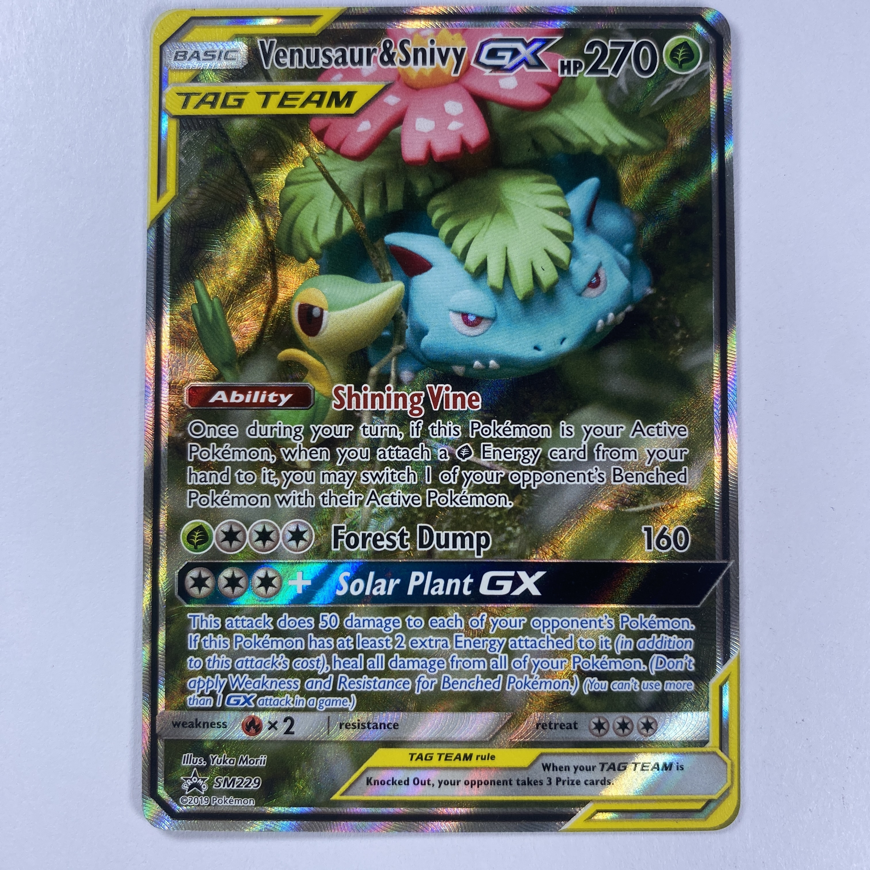 Venusaur & Snivy GX carta pokemon EN SM229