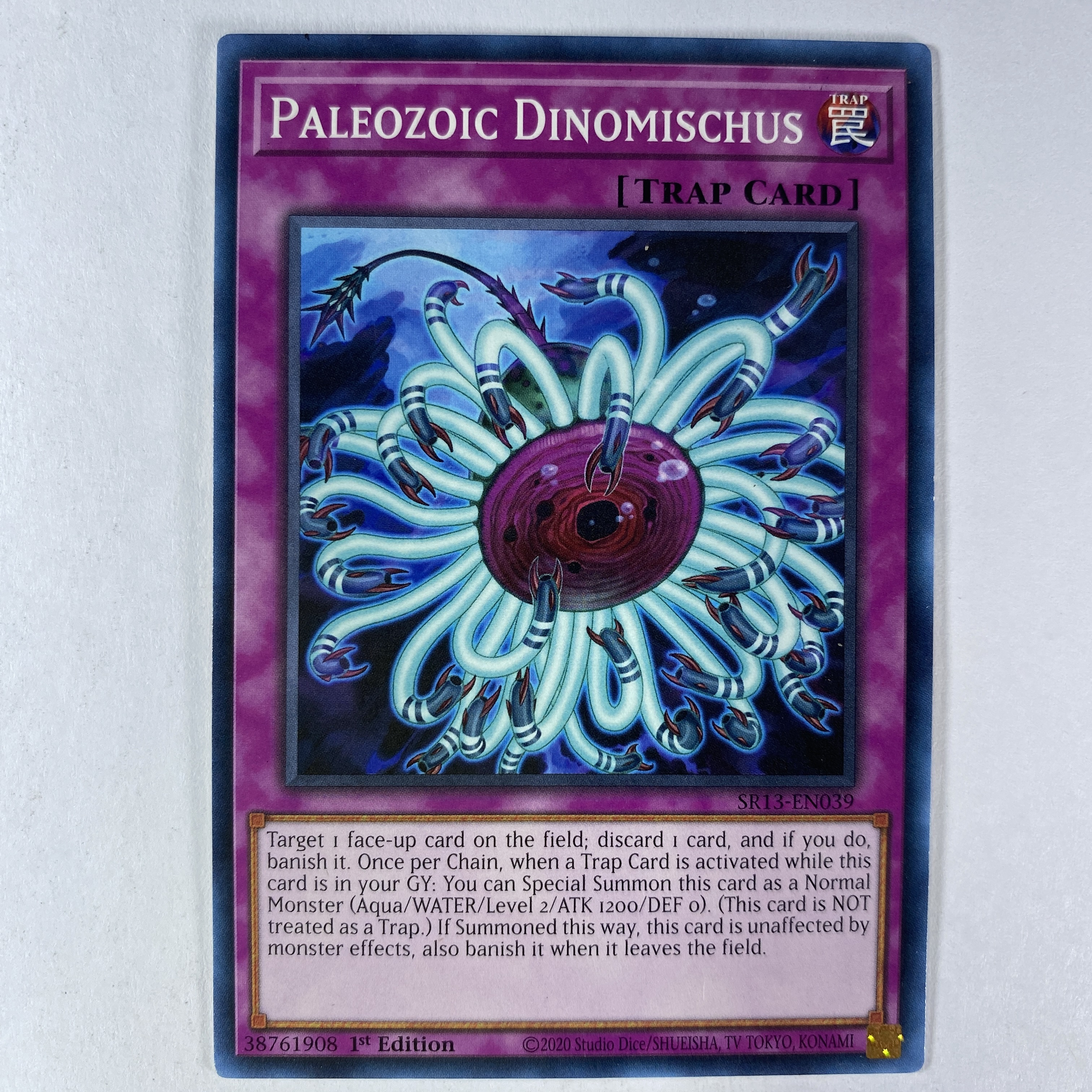 Paleozoic Dinomischus SR13-EN039  Common 