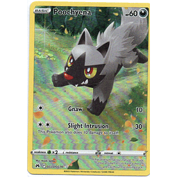 Poochyena carta pokemon Español
