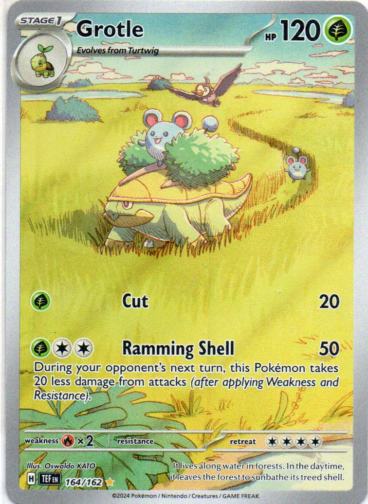 Grotle 164 illustration Rare Ingles