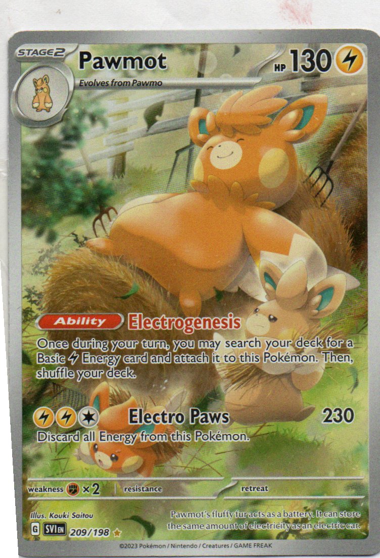 Pawmot 209 illustration Rare Ingles