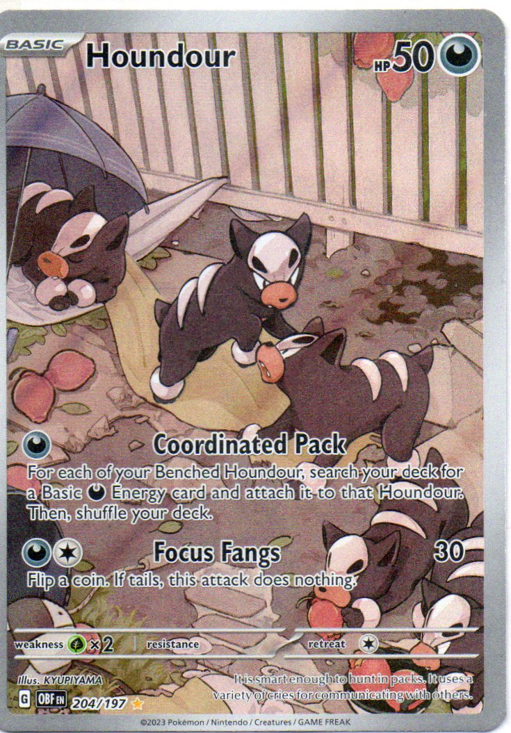 Houndour 204 Illustration Rare Ingles