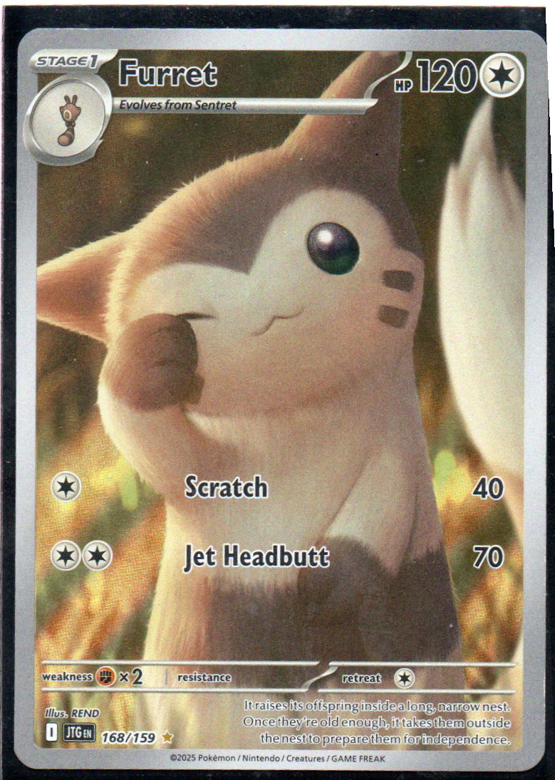 Furret 168 illustration Rare Ingles