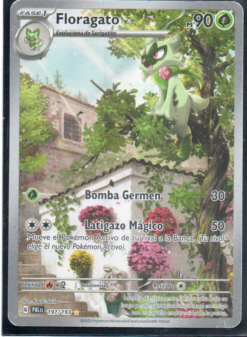 Floragato 197 illustration Rare Español