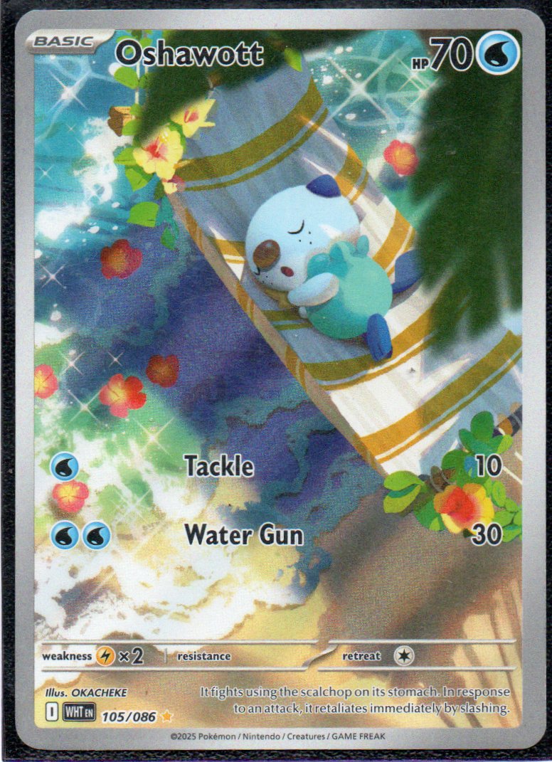 Oshawott 105 illustration Rare Ingles