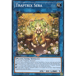 Traptrix Sera SDBT-EN044 Commun