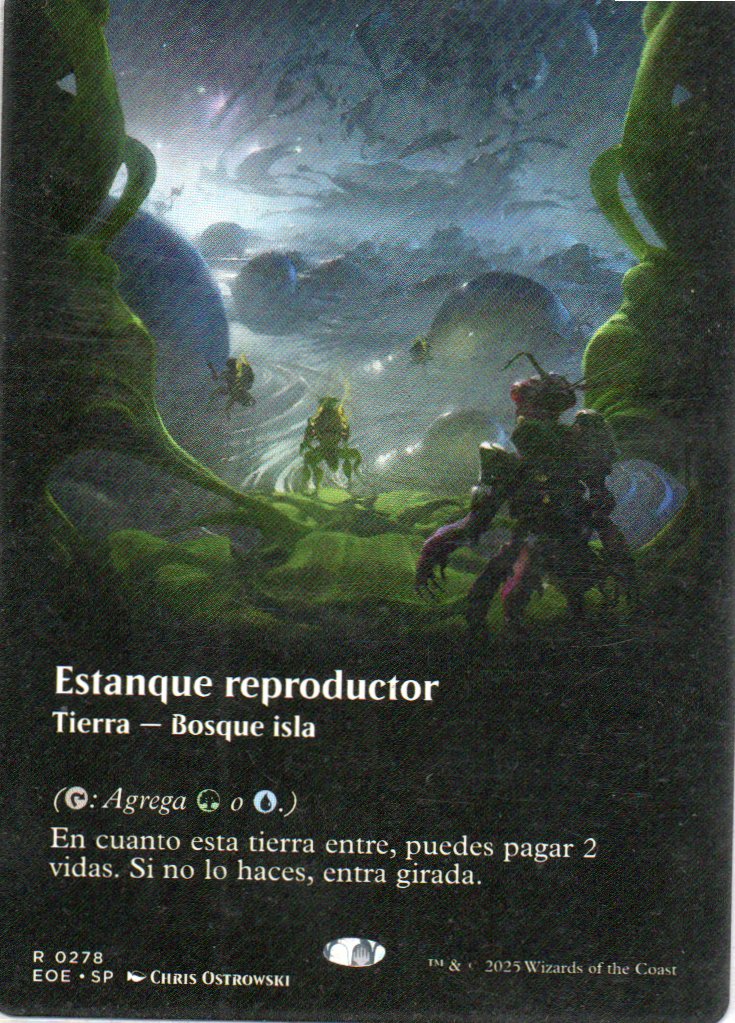 Estanque Reproductor Español Rare Borderless