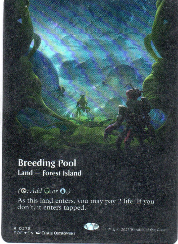 Breeding Pool Ingles Rare Borderless Foil