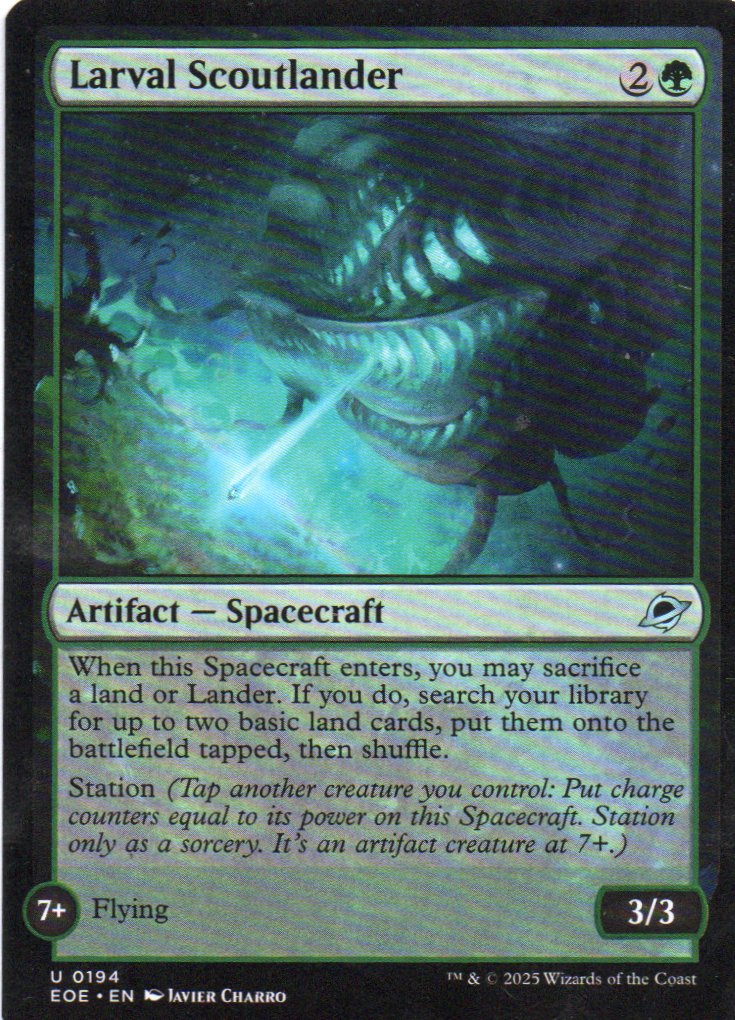 Larval Scoutlander Ingles Uncommun